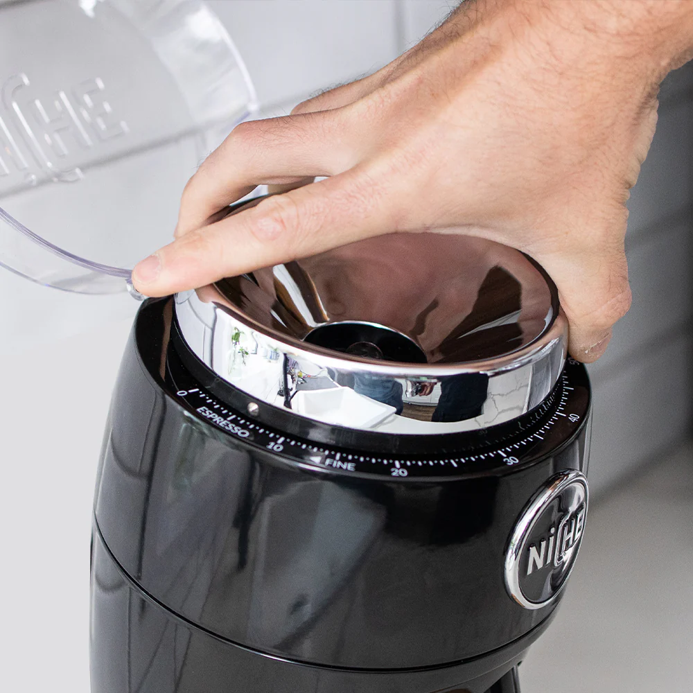 Niche Duo - Image 11