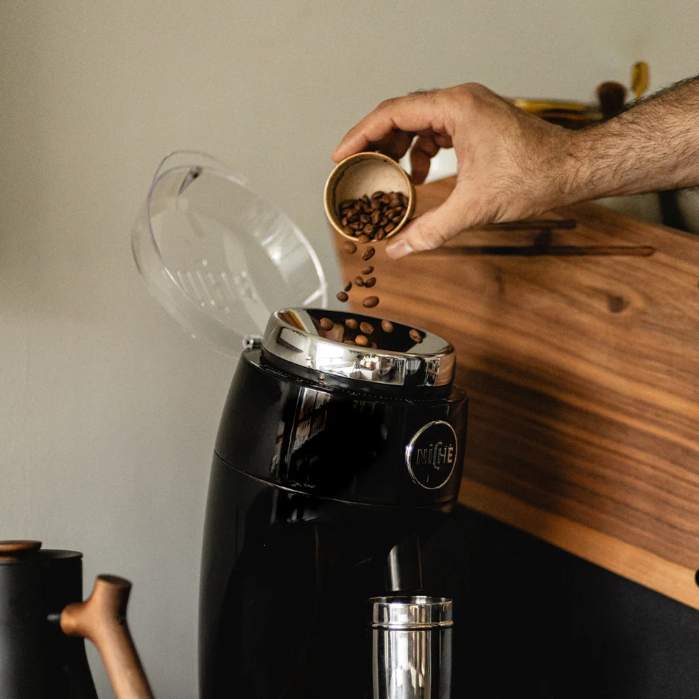 Niche Duo - Image 15